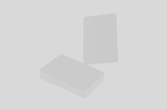 100  beschermhoesjes